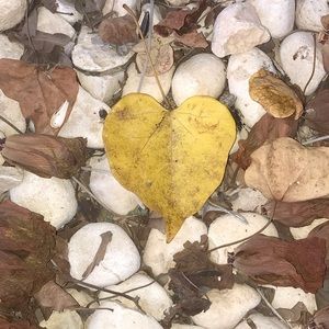 Meet your Posher, Amar